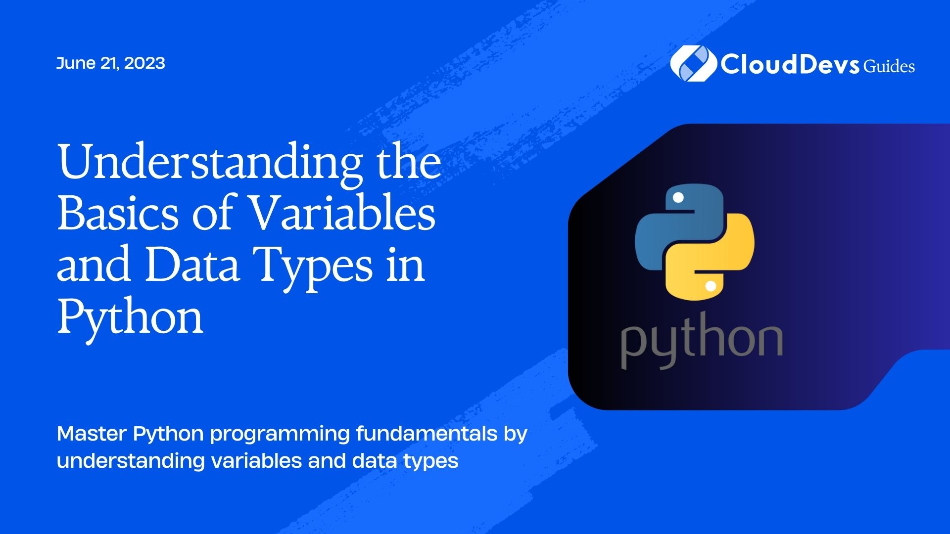 Understanding the Basics of Variables and Data Types in Python