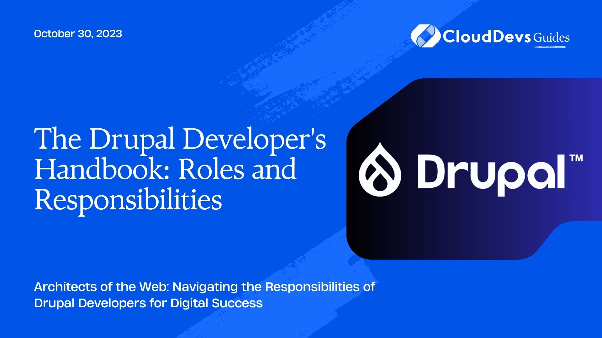 The Drupal Developer's Handbook: Roles and Responsibilities