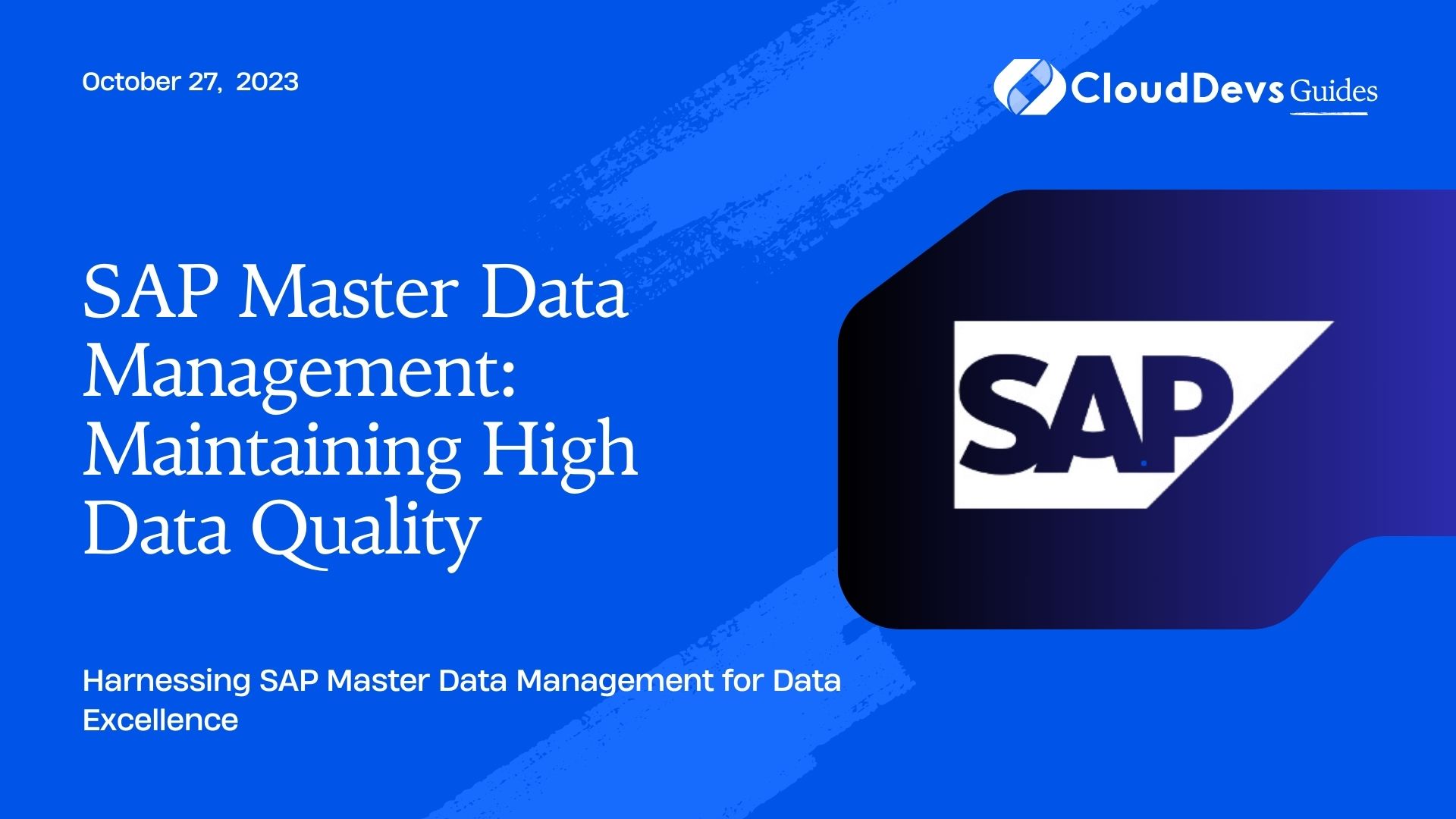 SAP Master Data Management: Maintaining High Data Quality