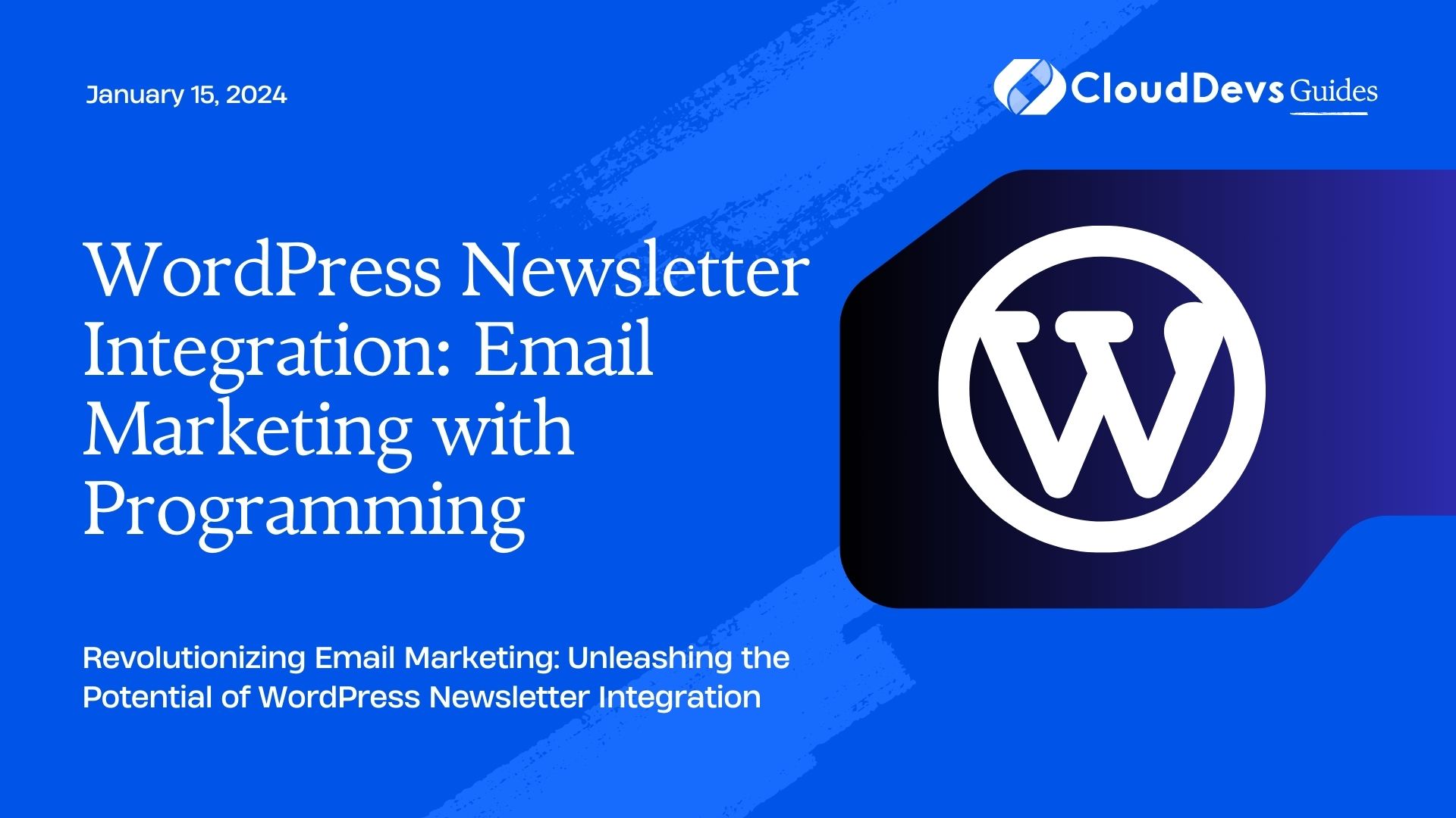 WordPress Newsletter Integration: Email Marketing with Programming